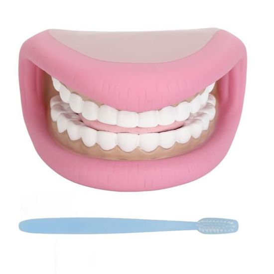 Marionnette à Main Bouche En Silicone Avec 28 Dents - Outil Pédagogique Pour Orthophonie Et Hygiène Dentaire Enfants