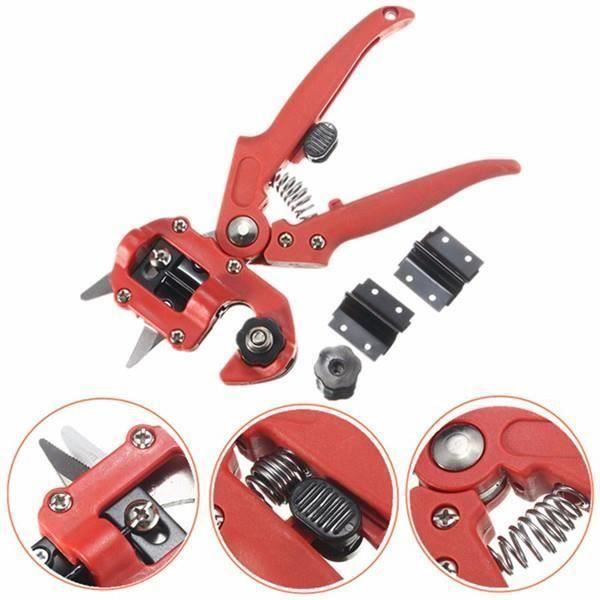 Pince à greffe ciseaux greffage d'arbres coupe Ma10361