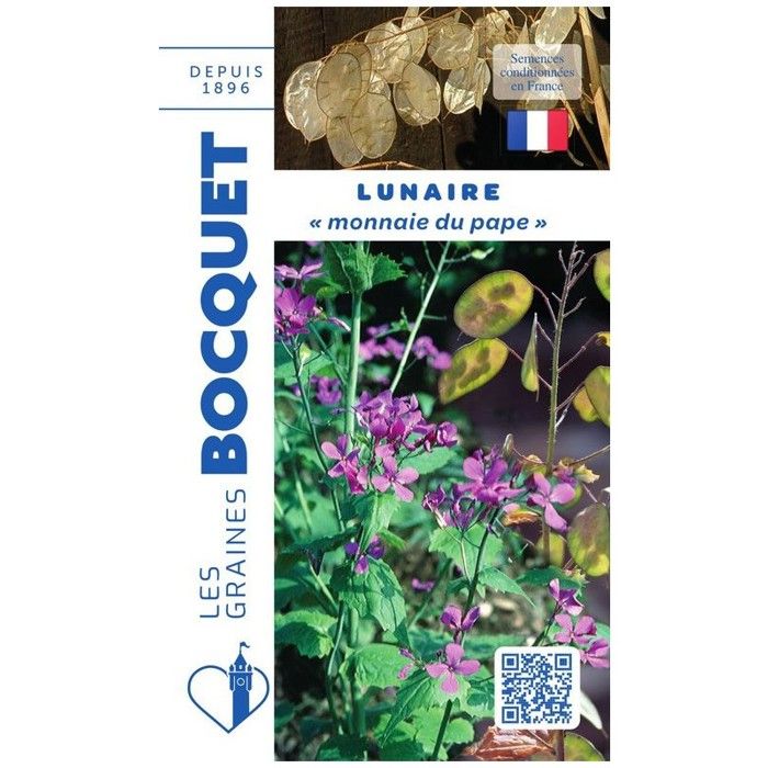 Graine - Semence - Lunaire Monnaie du Pape