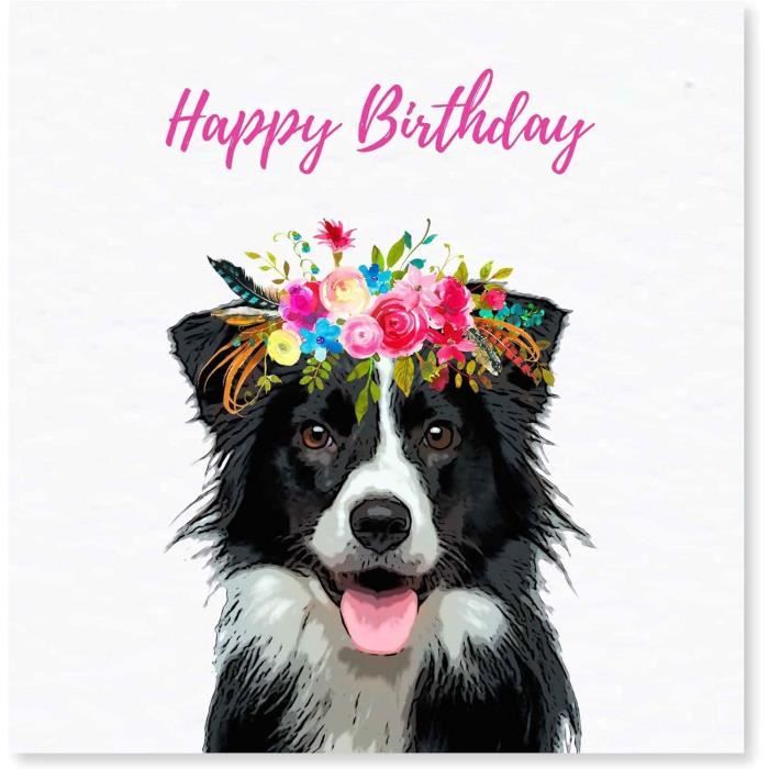 Bordure Collie Souriant Jolie Carte D'anniversaire