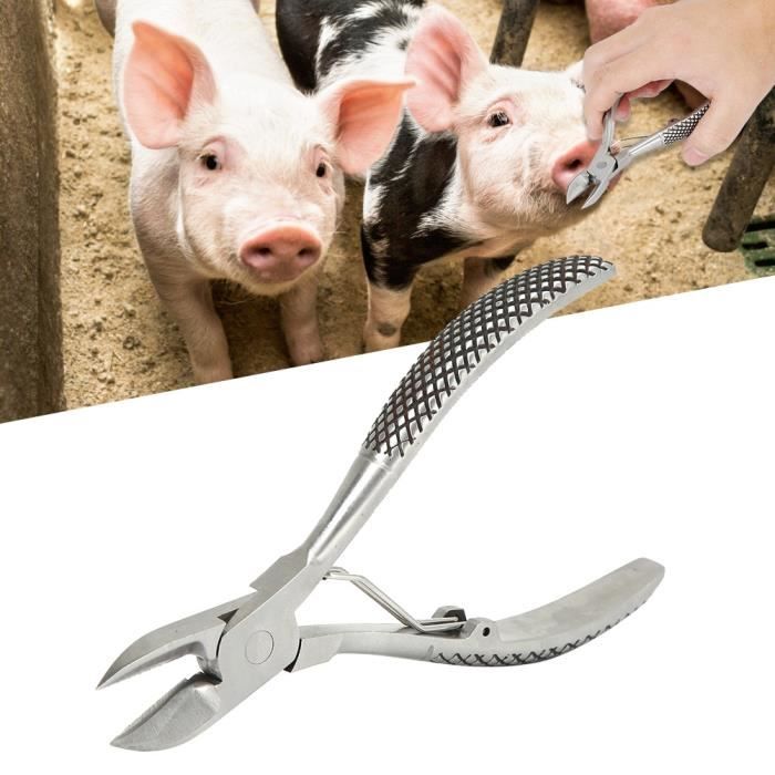 Pince à dents à ressort à billes en acier inoxydable Ciseaux à dents  coupées pour porcelets Équipement d'élevage-TIP - Cdiscount
