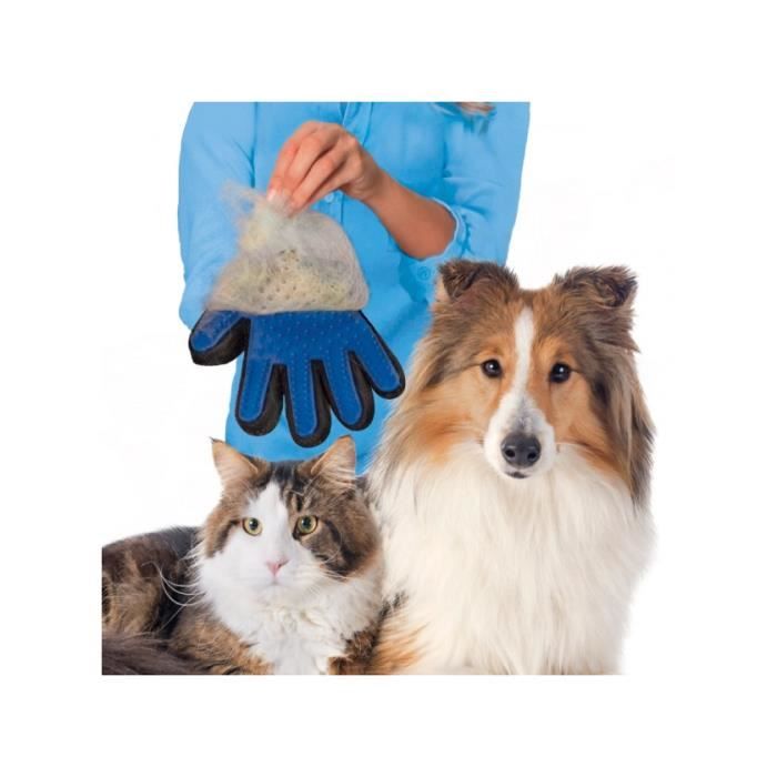 Gant de toilettage pour chats et chiens