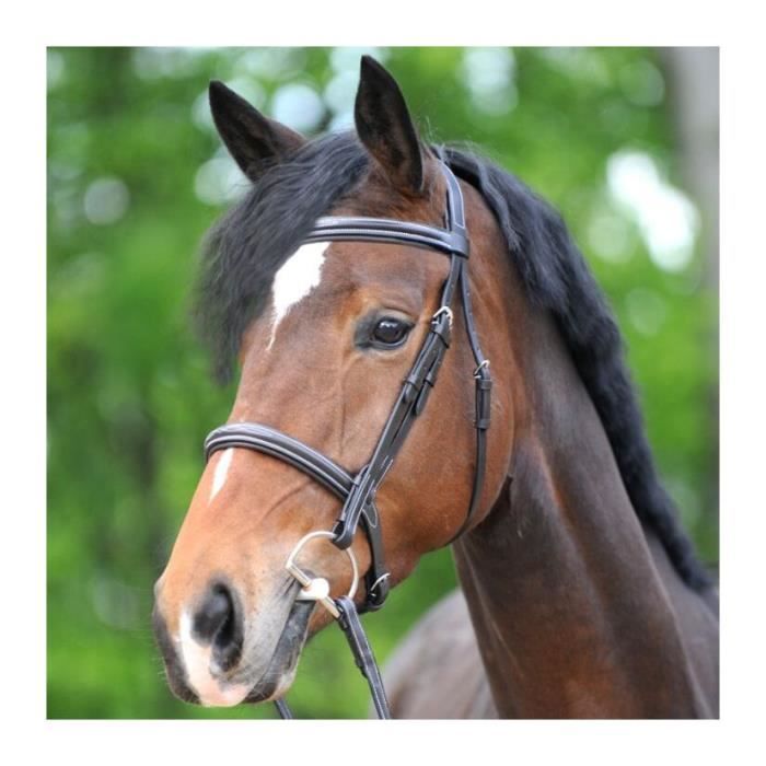 Bride Complète Hunter Pour Poney - Polyester Nylon Vert - Taille Poney - D.A. Brand