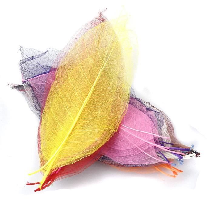 100 Feuilles Squelettes En Caoutchouc Naturel - Feuilles De Magnolia DIY Pour Décoration, Cartes, Scrapbooking - 15x3.5 Cm
