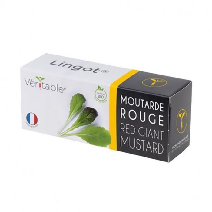 Lingot moutarde rouge bio - Cartouche de graine pour potager dintérieur - Véritable