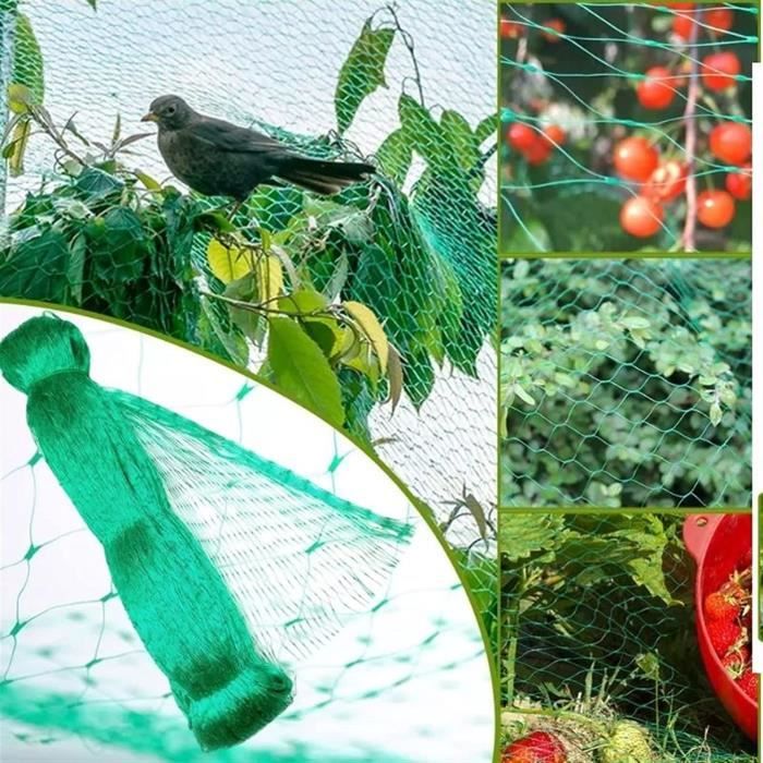 Filet de protection anti-oiseaux vert, filet pour plantes de