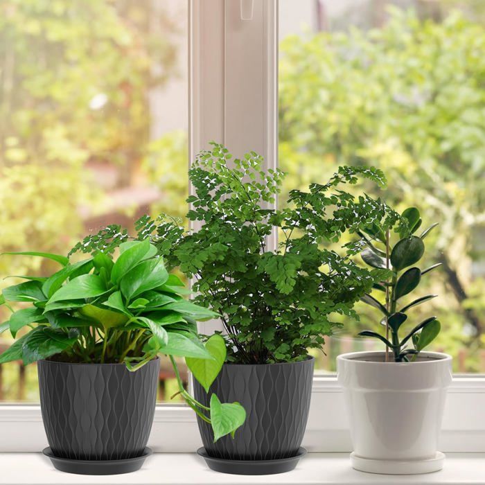 Bol En Verre Rond Peu Profond - Environ 25x10 Cm, Pour Plantes Grasses, Décoration Intérieure, Centre De Table, Ou Petit Aquarium (600 G) - 10