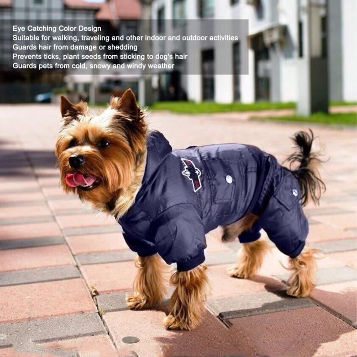 Sweat a hotsell capuche pour chien