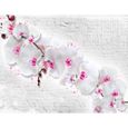 Runa art Papier Peint Intissé Tapisserie Mur de Fleurs D'Orchidée 396x280 cm (11,1 M2) - 9 Bandes Faciles à Coller 9323012b-3