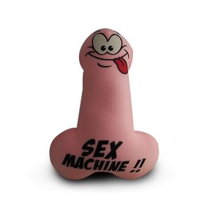 coussin gonflable avec pénis vibrant rose - Desirs Sensuels