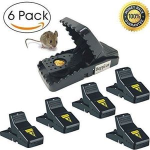 LIWI-Piege a Souris Vivante Tapette a Souris Tappeteà Souris Attrape Souris  Loir Mulot Musaraigne sans Cruauté et Tuer Sourici[27] - Cdiscount Jardin