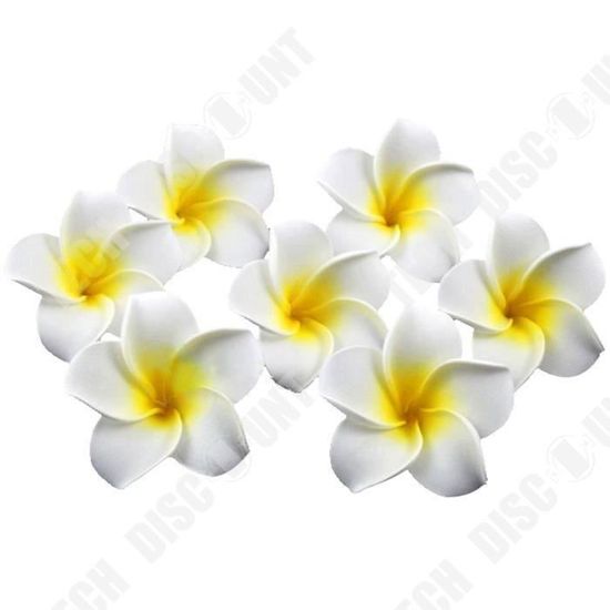 Tiamu 100 Pcs Plumeria Mousse Hawaïenne angipanier Fleur