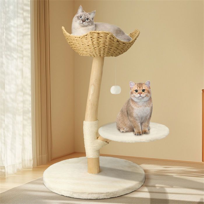 Meilleurs prix pour Arbre à Chat, Hauteur 91 cm, 2 Plate-Formes et 1 Coussin Amovible, Bois Massif, Poteau Griffoir en Sisal avec Pompon, Tissu Peluche