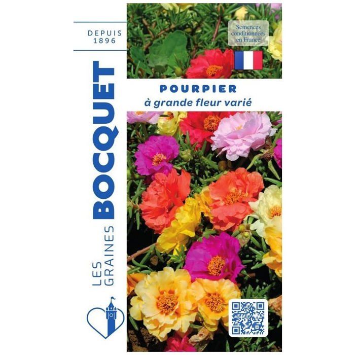 Graine - Semence - Pourpier à grande fleur double varié