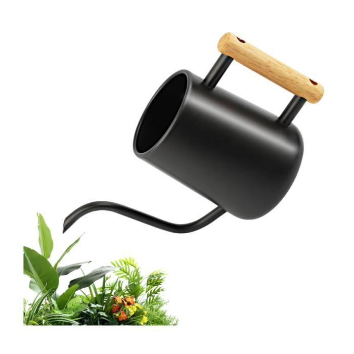 Arrosoir En Acier Inoxydable 1L Avec Long Bec - Poignée En Bois Et Outils De Jardinage Inclus