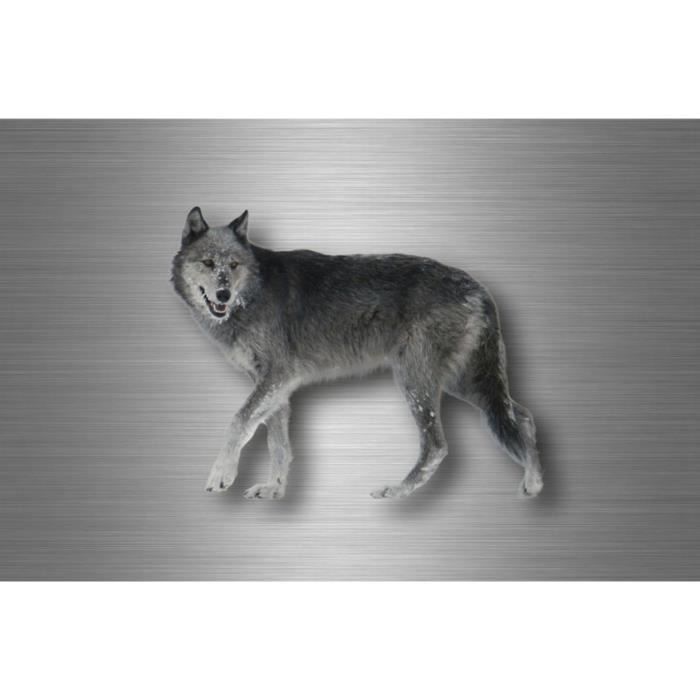 Autocollant Sticker Déco Cheval Tribal Noir - Pour Voiture, Moto, Frigo, Décoration Intérieure Ou Extérieure