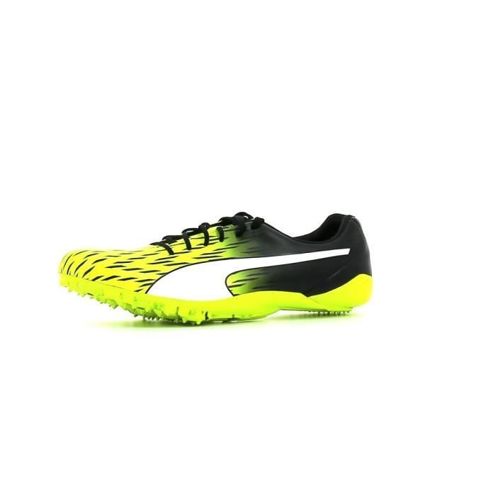 pointes puma
