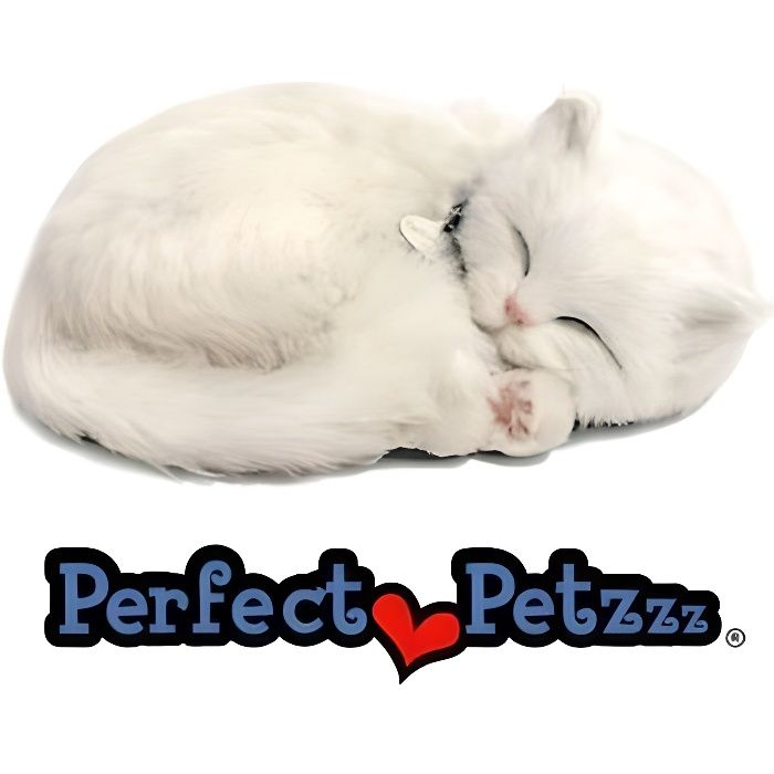 Perfect hot sale petzzz chat