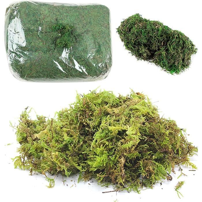 Bloc de mousse florale avec plateau, kit de 5 pièces pour composition florale à faire soi-même, bacs cylindriques ronds avec bol pour les mariages et les arrangements floraux funéraires
