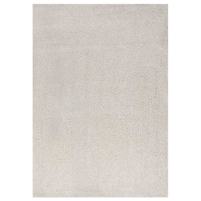 Tapis Shaggy Salon 160x230 Cm - Poils Longs Gris Clair - Épaisseur 2 Cm - Neuf Avec étiquettes - Moderne