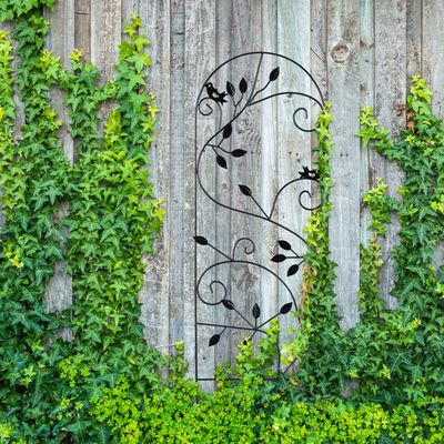 Treillis Jardin Métal Lot De 2 – Support Plantes Grimpantes, 183 Cm, Noir