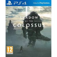 SHOT CASE - Shadow of the Colossus Jeu PS4