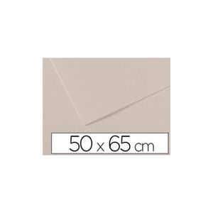 CANSON couleur 160 g MI-TEINTES 50x65 cm paquet de 24 feuilles