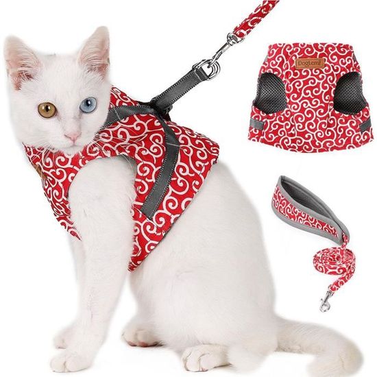 Gilet rembourré avec harnais pour chats avec laisse ajustable pour chat qui  marche (Rouge S)—bigr - Cdiscount