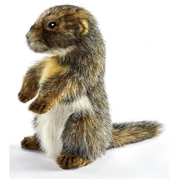peluche marmotte