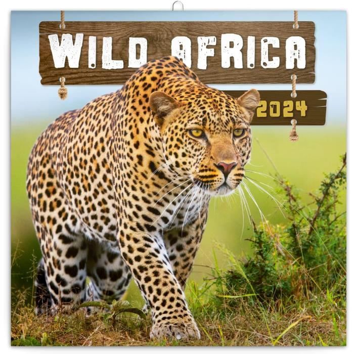 Calendrier Mural 2024 Afrique Sauvage - Avec Calendrier Mensuel - 30 X 30  Cm - 30 X 60 Cm - Ouvert[H1611] - Cdiscount Beaux-Arts et Loisirs créatifs