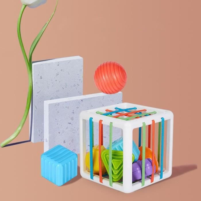 Rotolo Per Poster E Schizzi - Tracolla Regolabile, Impermeabile, Nero, Diametro 6.5 Cm - Foto 13