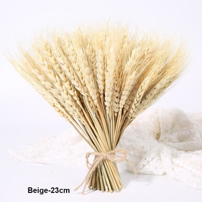 100pcs-23cm - Beige - Épi de blé naturel séché pour réception de mariage et  de Noël,fleur, fleurs de décorati - Cdiscount Maison