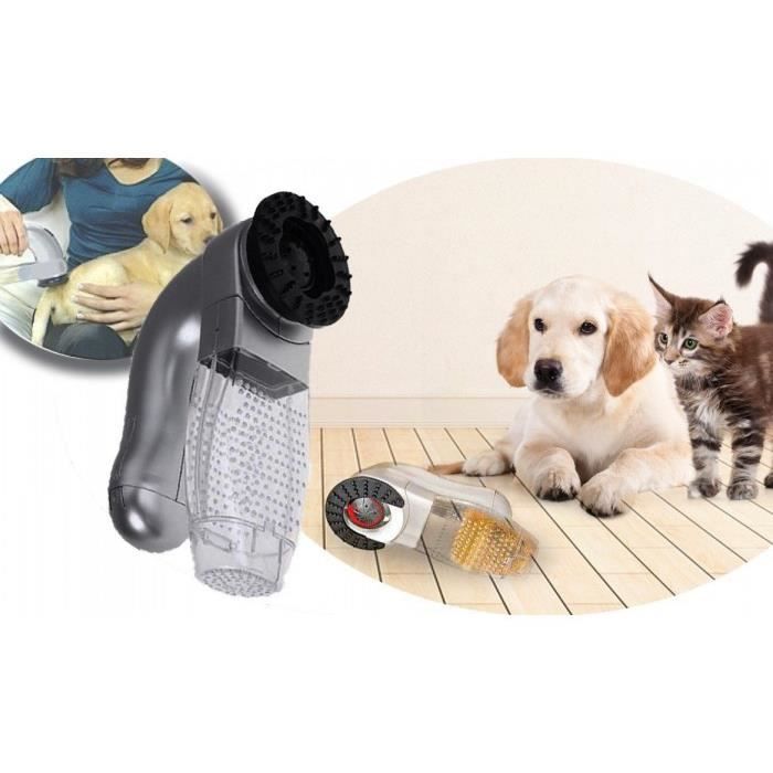 Meilleur aspirateur pour poils de chien