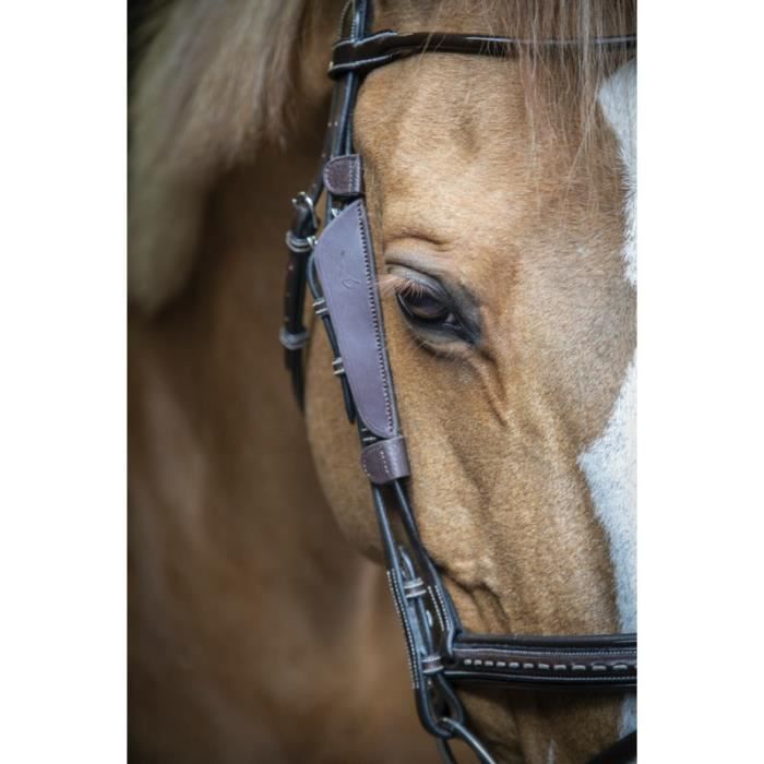 Anciennes Oeillères Pour Chevaux En Cuir - Style Afrique Du Nord - Pièce C42