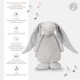 Moonie le lapin magique avec sons & lumières gris bb&co-1