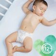 Couches harmonie T4 x19 Pampers-3