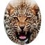 Sticker pour abattant de WC 35x42cm Vache 7309 7309