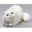 chat blanc peluche