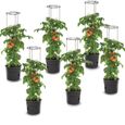 Lot de 6 pots à tomates 28 L avec support pour branches, planteurs à plantes, pour légumes, jardinières aux fraises et concombres-0