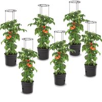 Lot de 6 pots à tomates 28 L avec support pour branches, planteurs à plantes, pour légumes, jardinières aux fraises et concombres