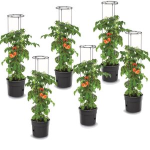 JARDINIÈRE - BAC A FLEUR Lot de 6 pots à tomates 28 L avec support pour bra