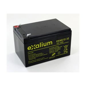 BATTERIE VÉHICULE Batterie plomb Gel 12V 12Ah Exalium EXAG12-12