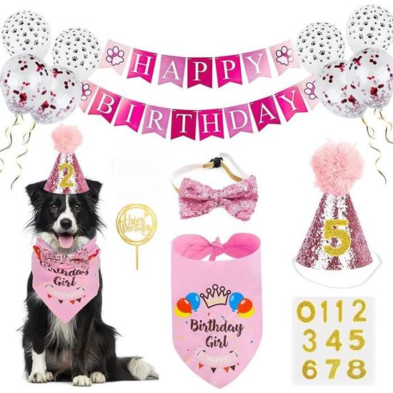 Image D'Anniversaire De Chien | Joyeux Anniversaire Humour Chien - JTCP