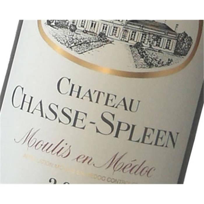 Château Chasse Spleen - Moulis 2016 6 x Bouteille (75 cl)
