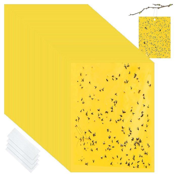 50Pcs Pieges Collants Double Face15 x 20cm Autocollants Jaunes piège à MouchesJaune Mouche piège Double Facepour Moustiques