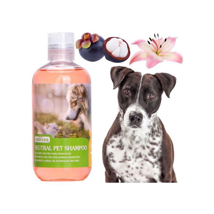 Shampoing - NOBLEZA - Aux fruits et fleurs - Non irritant - Nourrissant - 250 ml
