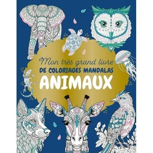 Kit Créatif Animaux De La Jungle 5 Masques Multicolore - Djeco