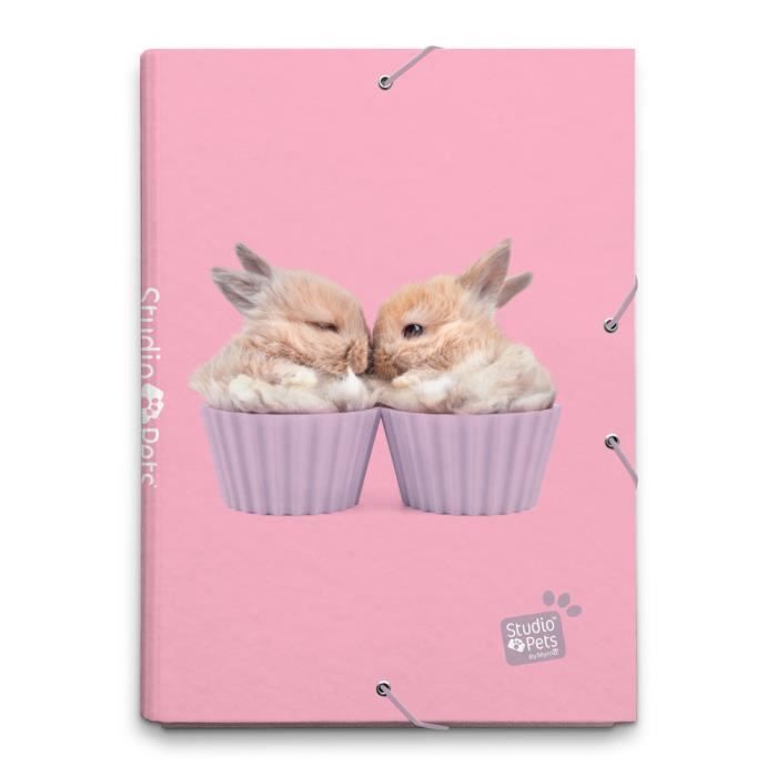 Dossier A Rabat Studio Pets Rabbits
