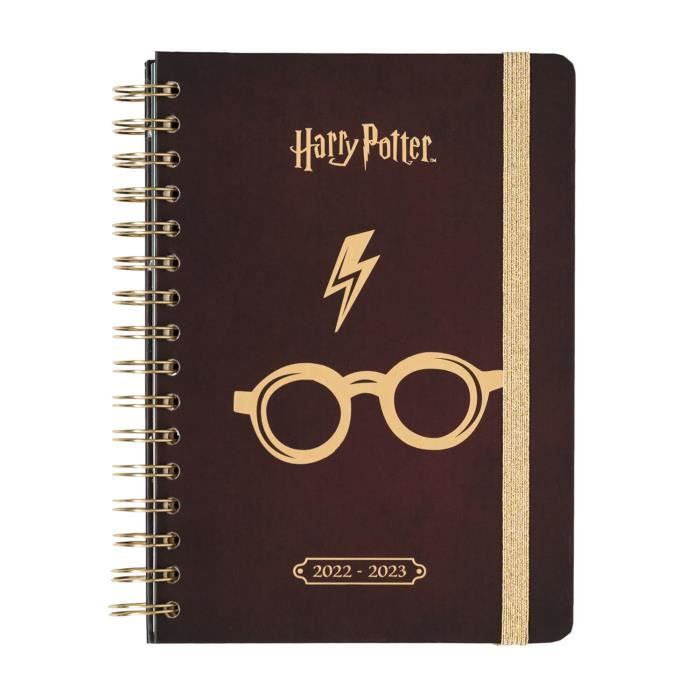  Harry Potter Calendrier photos officiel 2024 - Collectif -  Livres