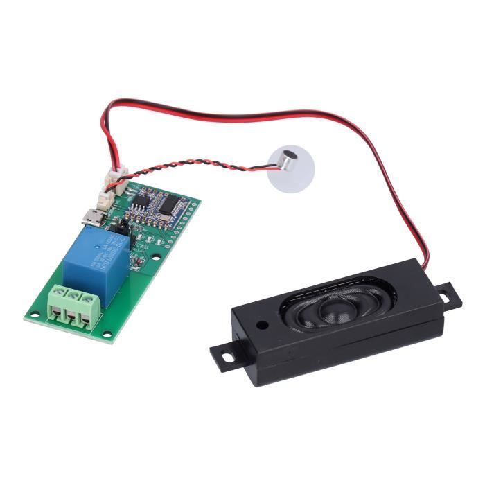 Module Son IS-2 Torro SP-01050 Pour Modélisme RC - Pour Chars / Véhicules - Neuf Sous Blister